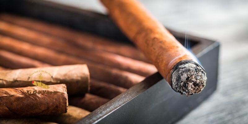 Lỗi hút xì gà người mới hay gặp